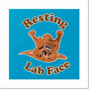 Rest Labrador Face Posters and Art